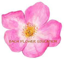 Bach Flower Education Online Courses